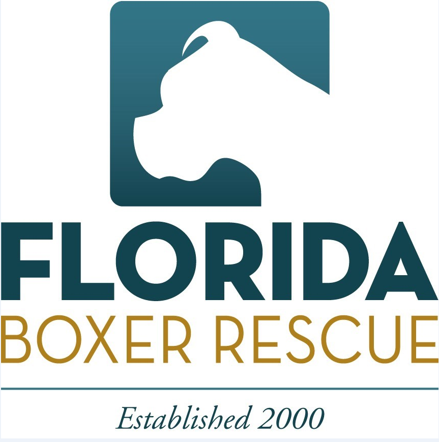 Florida Boxer Rescue
