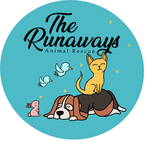 The Runaways Animal Rescue