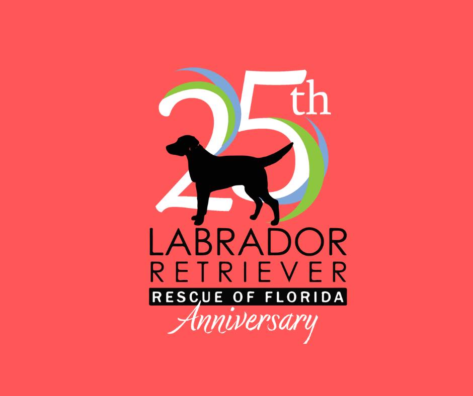 Labrador Retriever Rescue of Florida