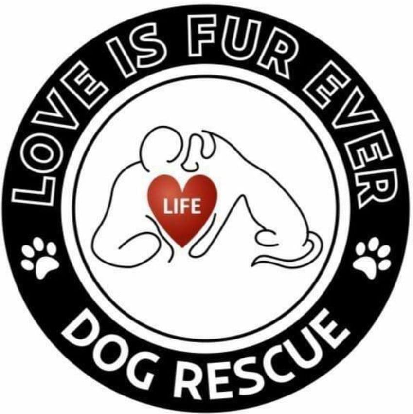 Love is Fur Ever Dog Rescue