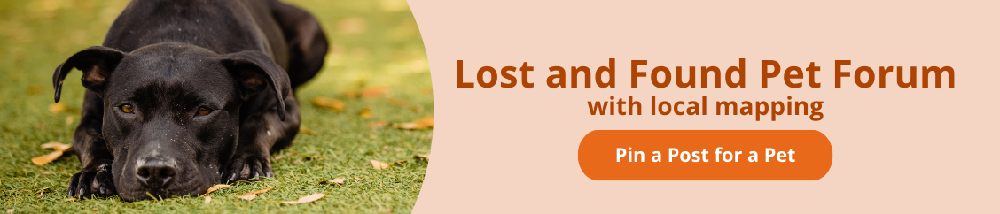 Lost and Found Pet Forum with local mapping - Pin a Post for a Pet